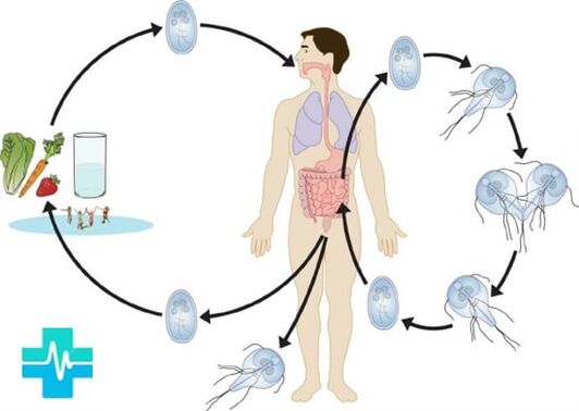 Come una persona può essere infettata